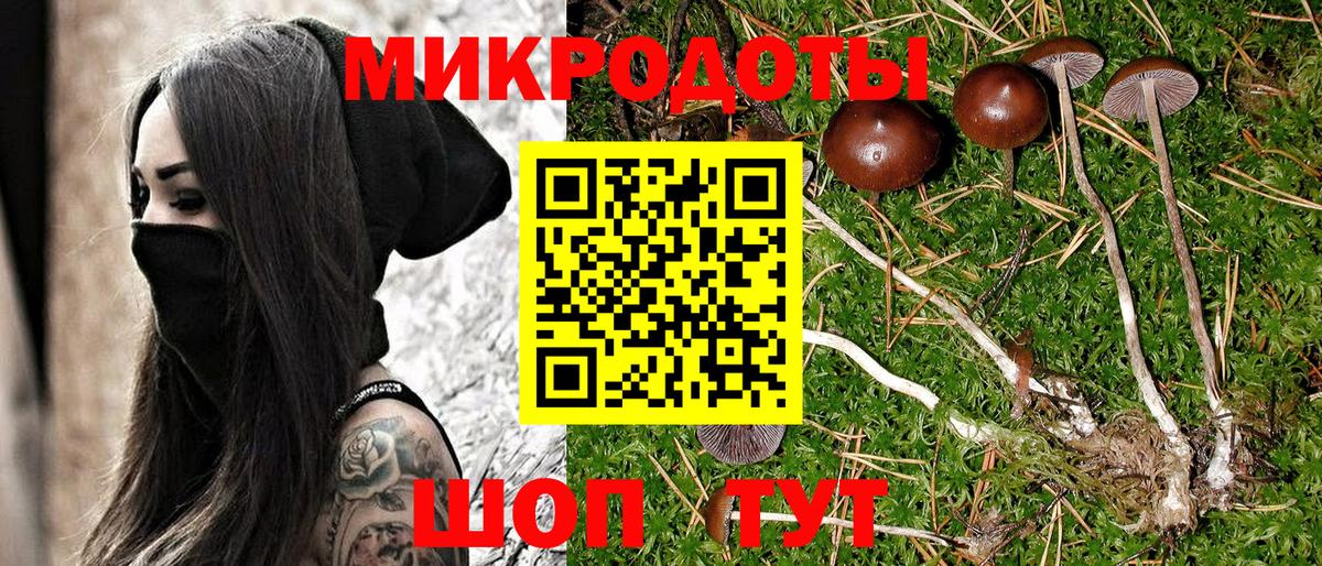 Галлюциногенные грибы мицелий  наркошоп  Мариинск  Вход с VPN 